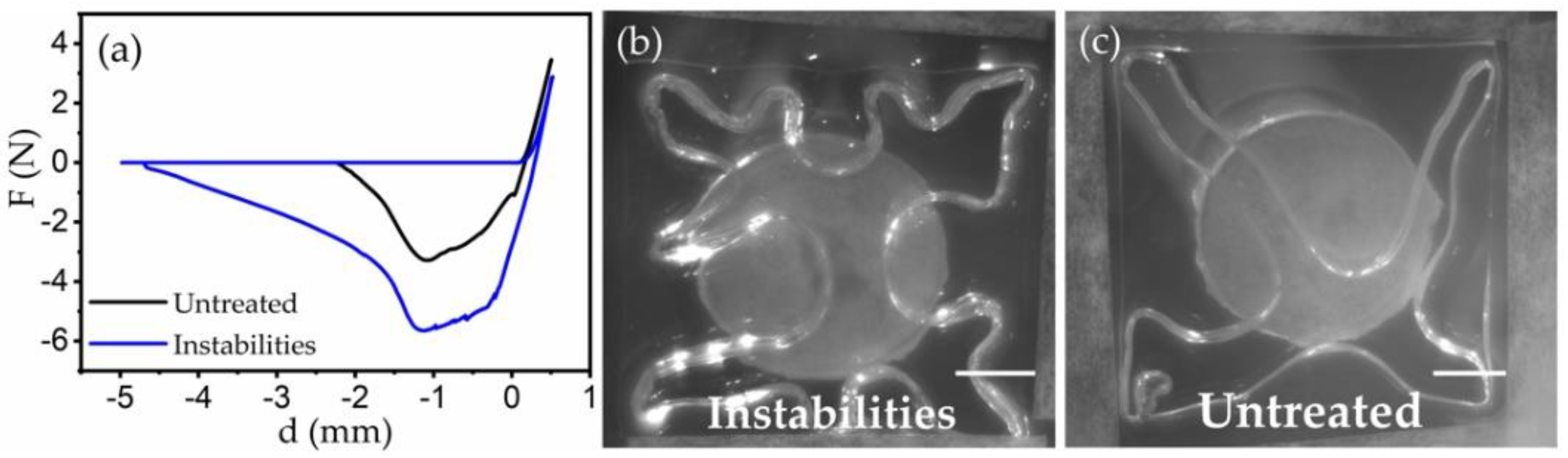 Materials 15 00852 g005