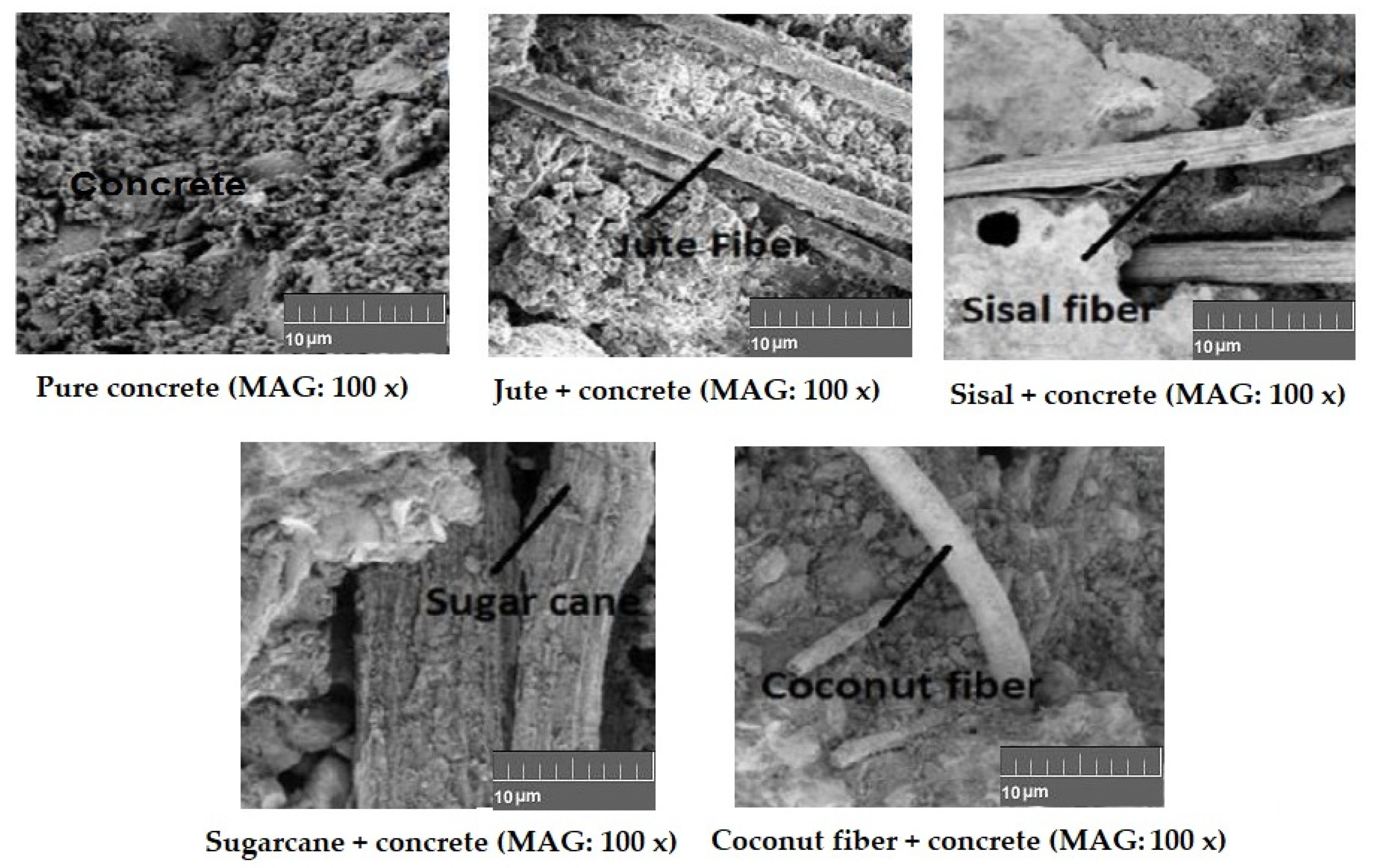 Materials 15 00874 g007