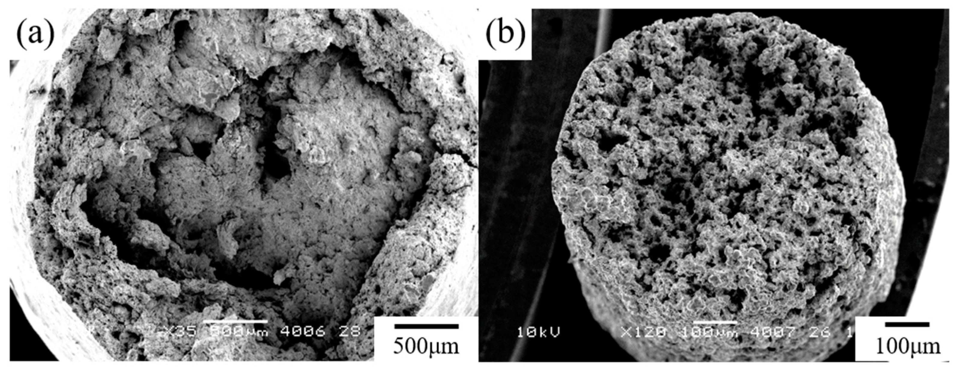 Materials 15 00884 g009