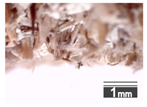 Materials 15 00886 i003 Materials 15 00886 i003