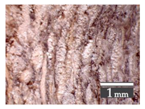 Materials 15 00886 i008 Materials 15 00886 i008