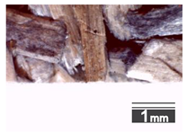 Materials 15 00886 i012 Materials 15 00886 i012