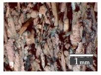 Materials 15 00886 i014 Materials 15 00886 i014