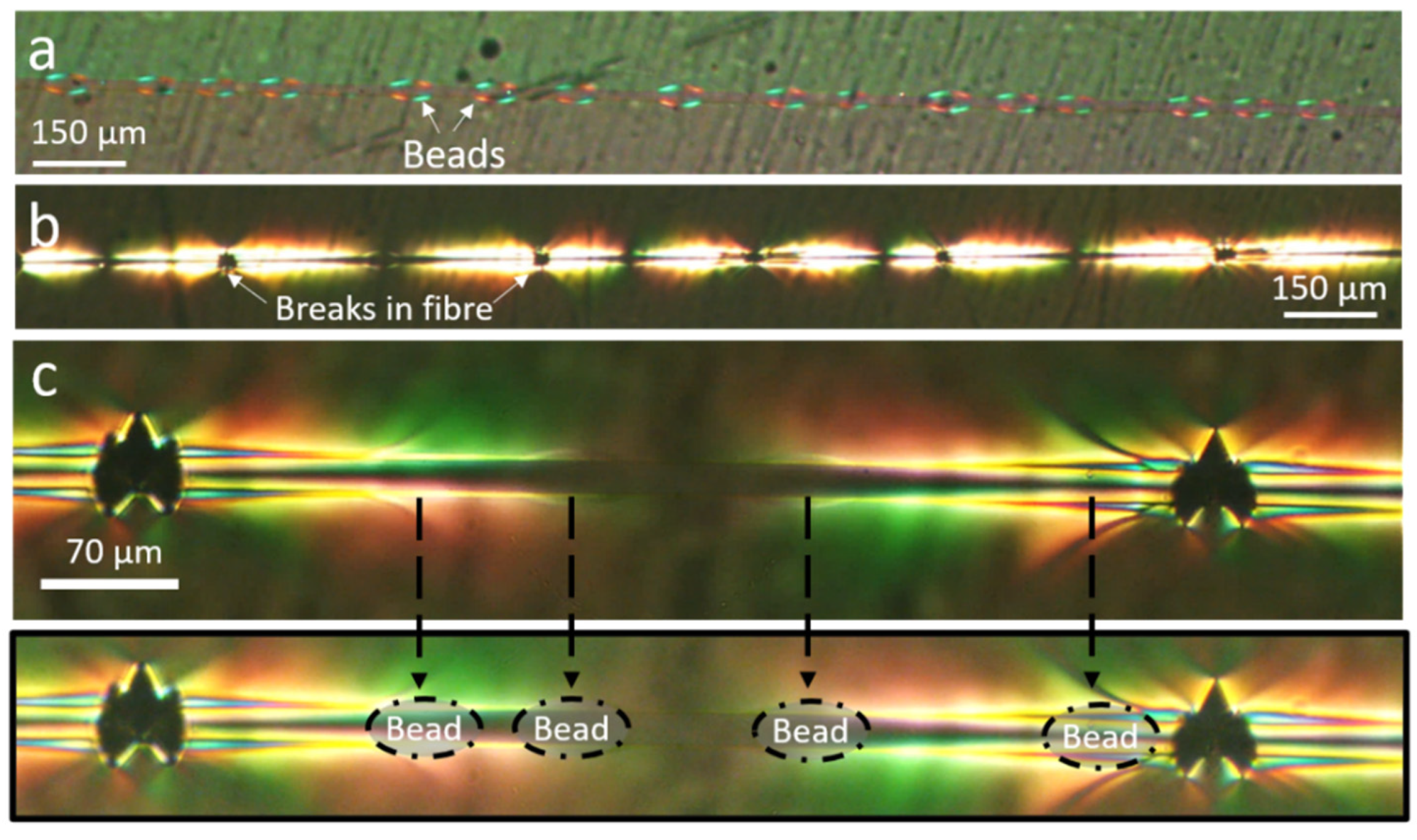 Materials 15 00890 g005