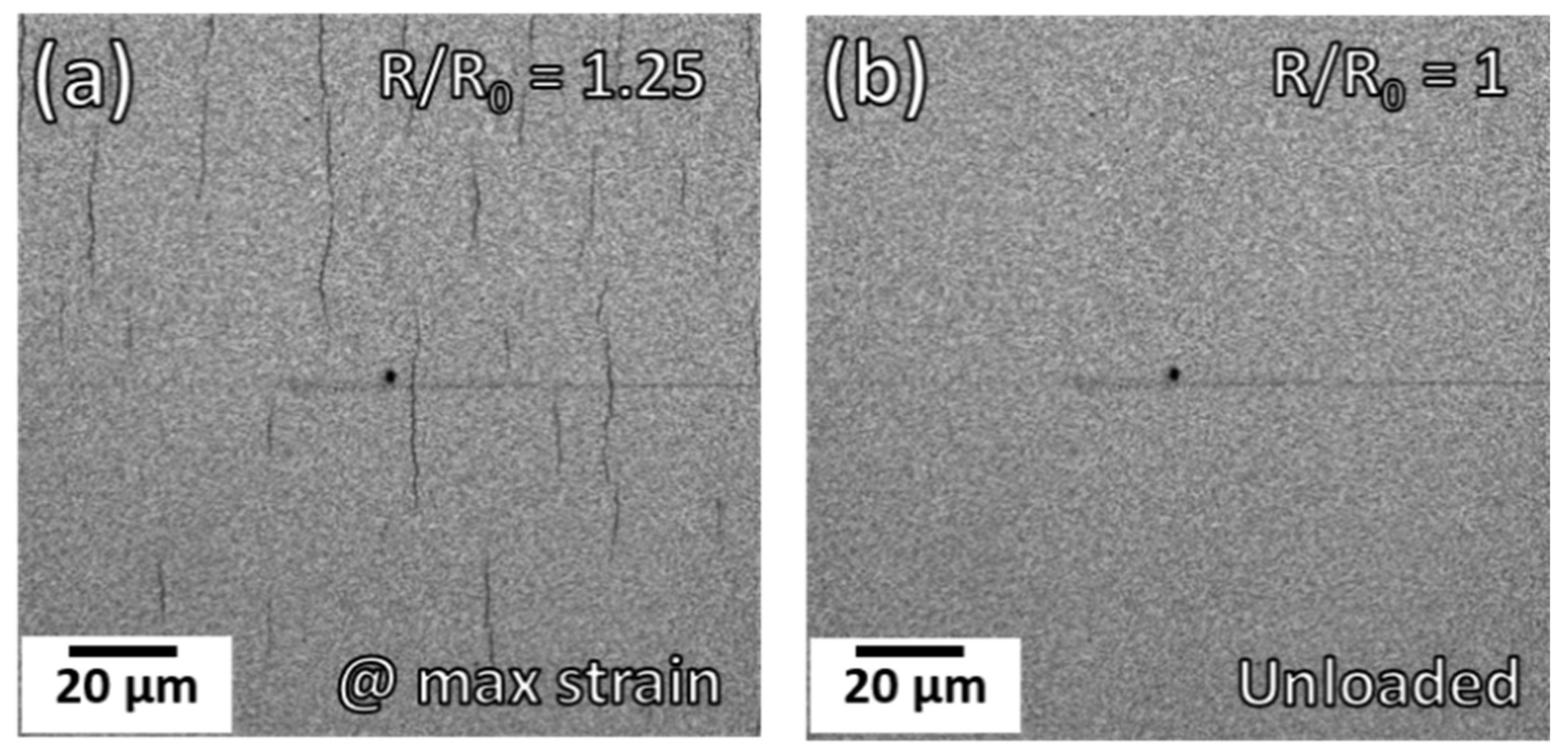 Materials 15 00926 g007 Materials 15 00926 g007