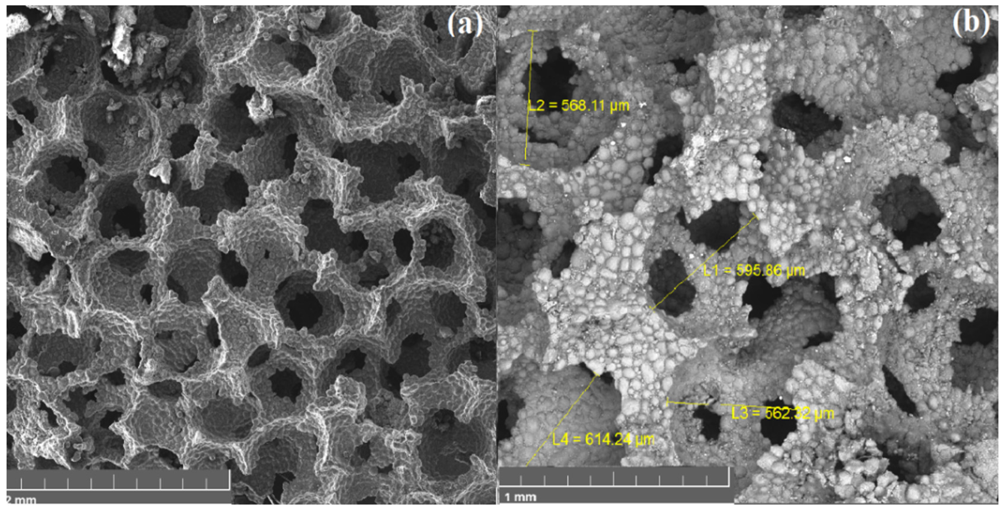 Materials 15 00931 g005