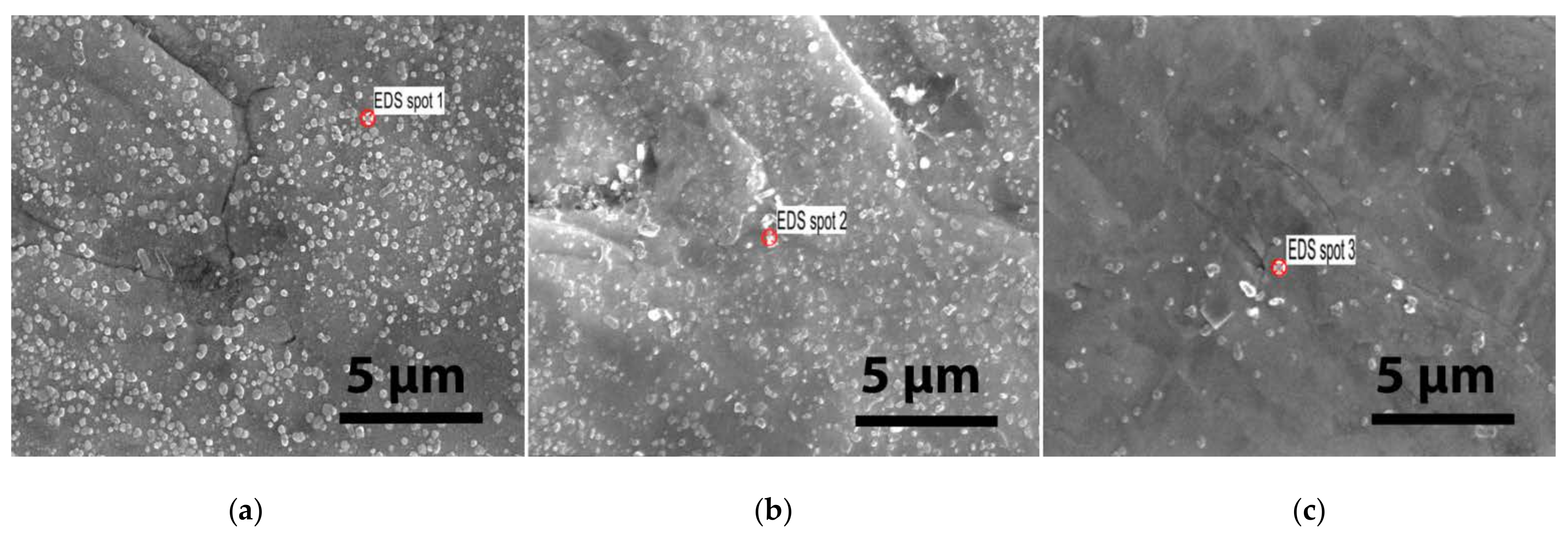 Materials 15 00956 g008