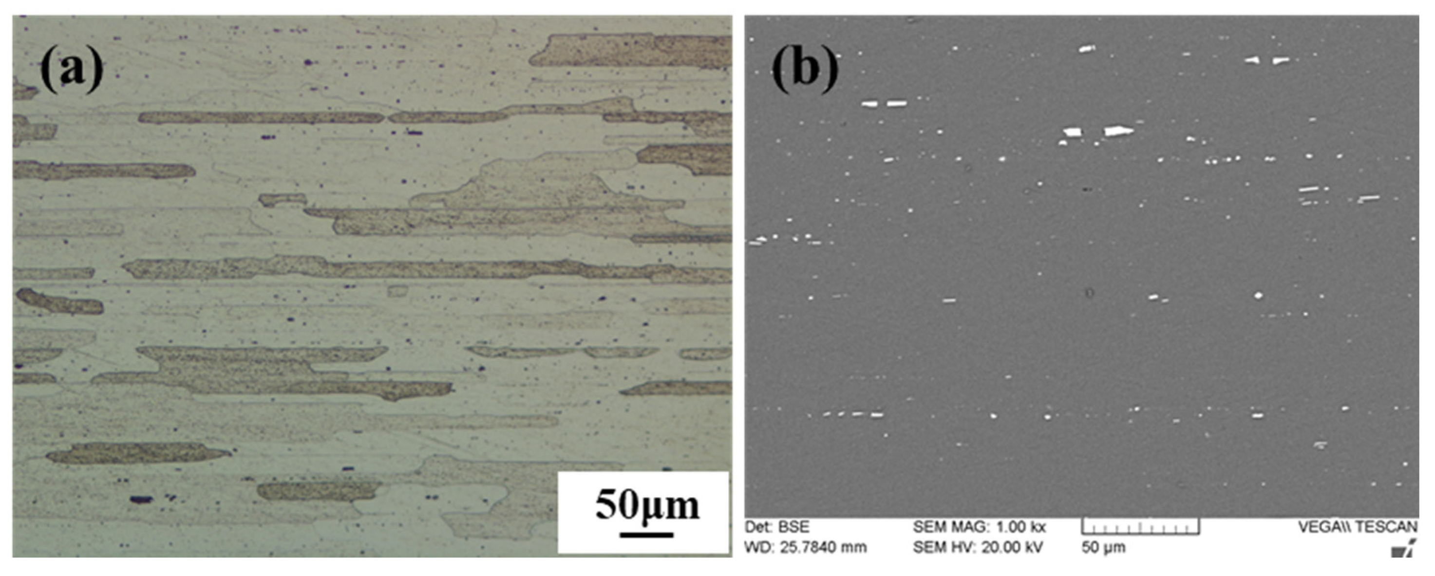 Materials 15 00969 g001