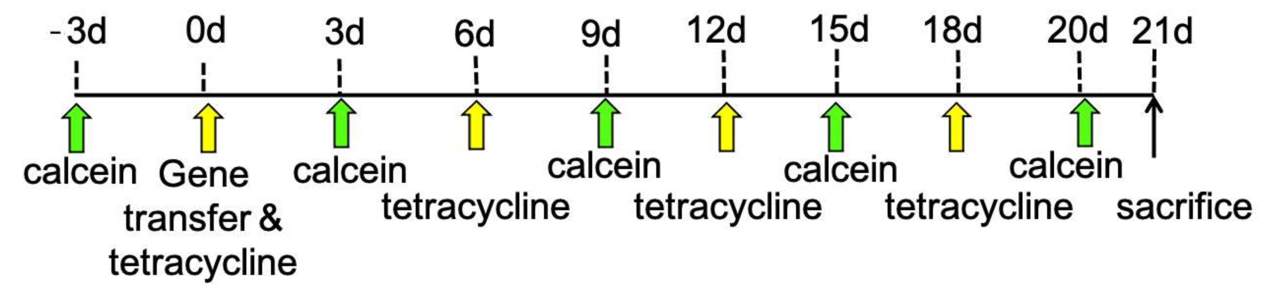 Materials 15 00993 g001