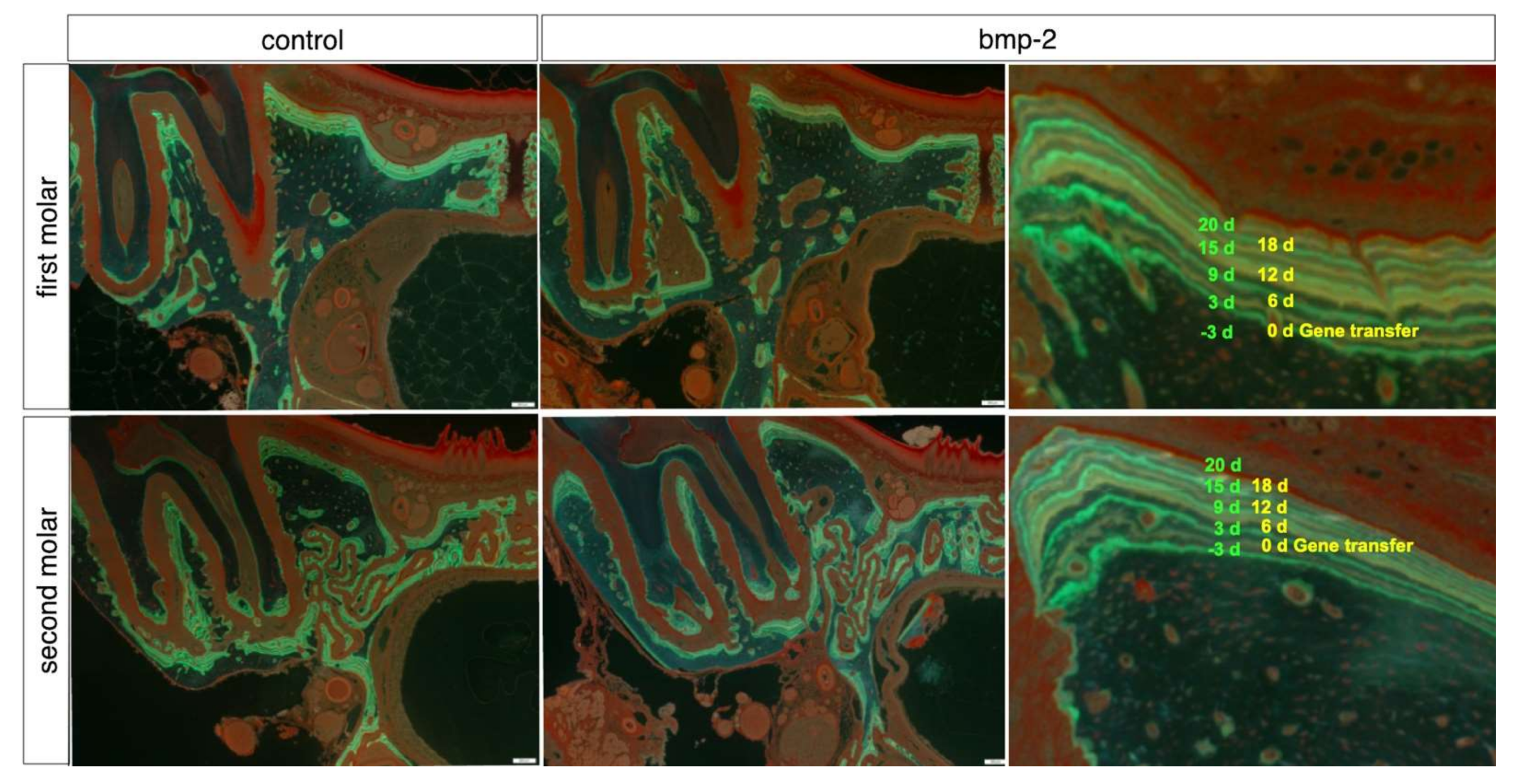 Materials 15 00993 g002
