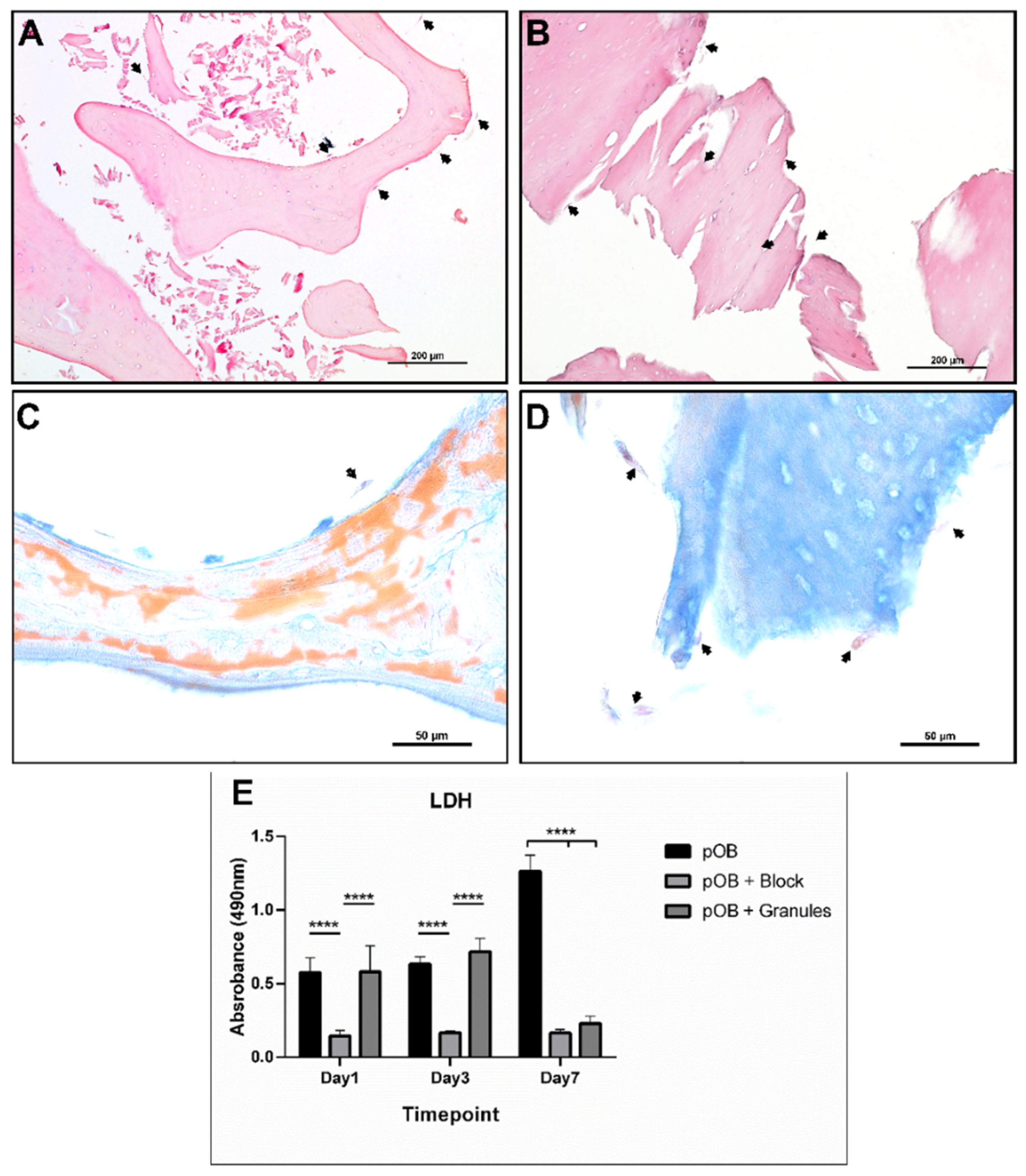 Materials 15 00999 g003