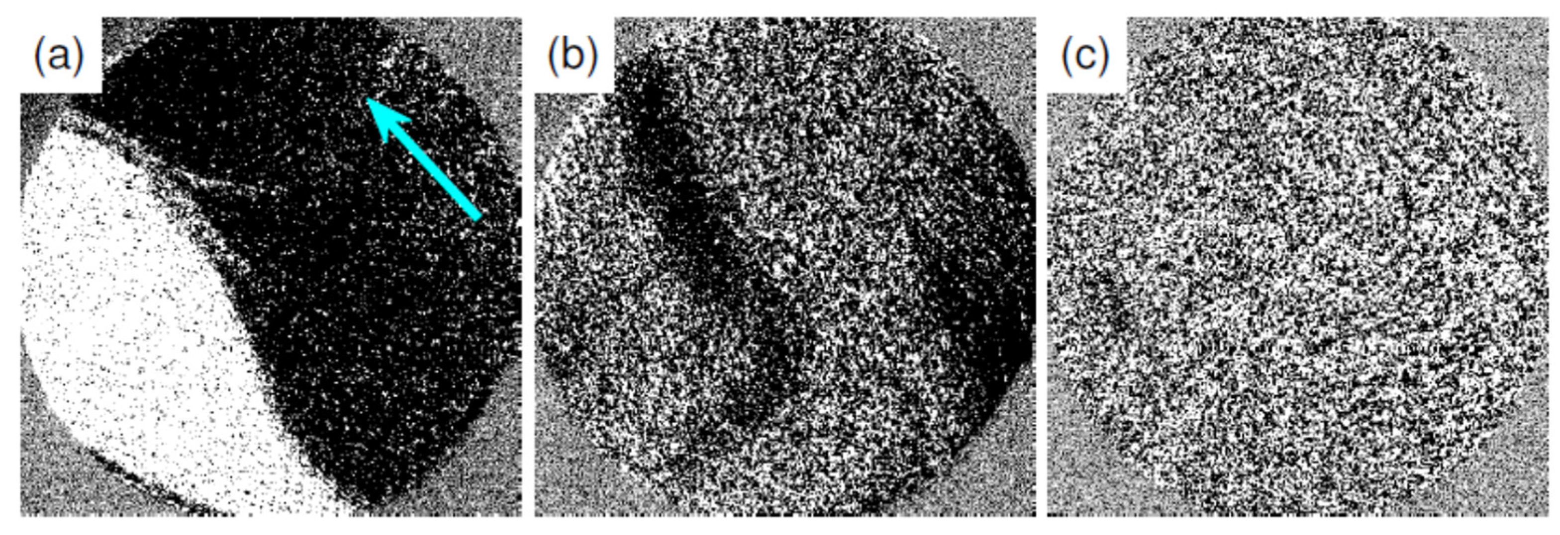 Materials 15 01019 g002