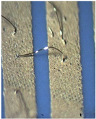 Materials 15 01036 i012