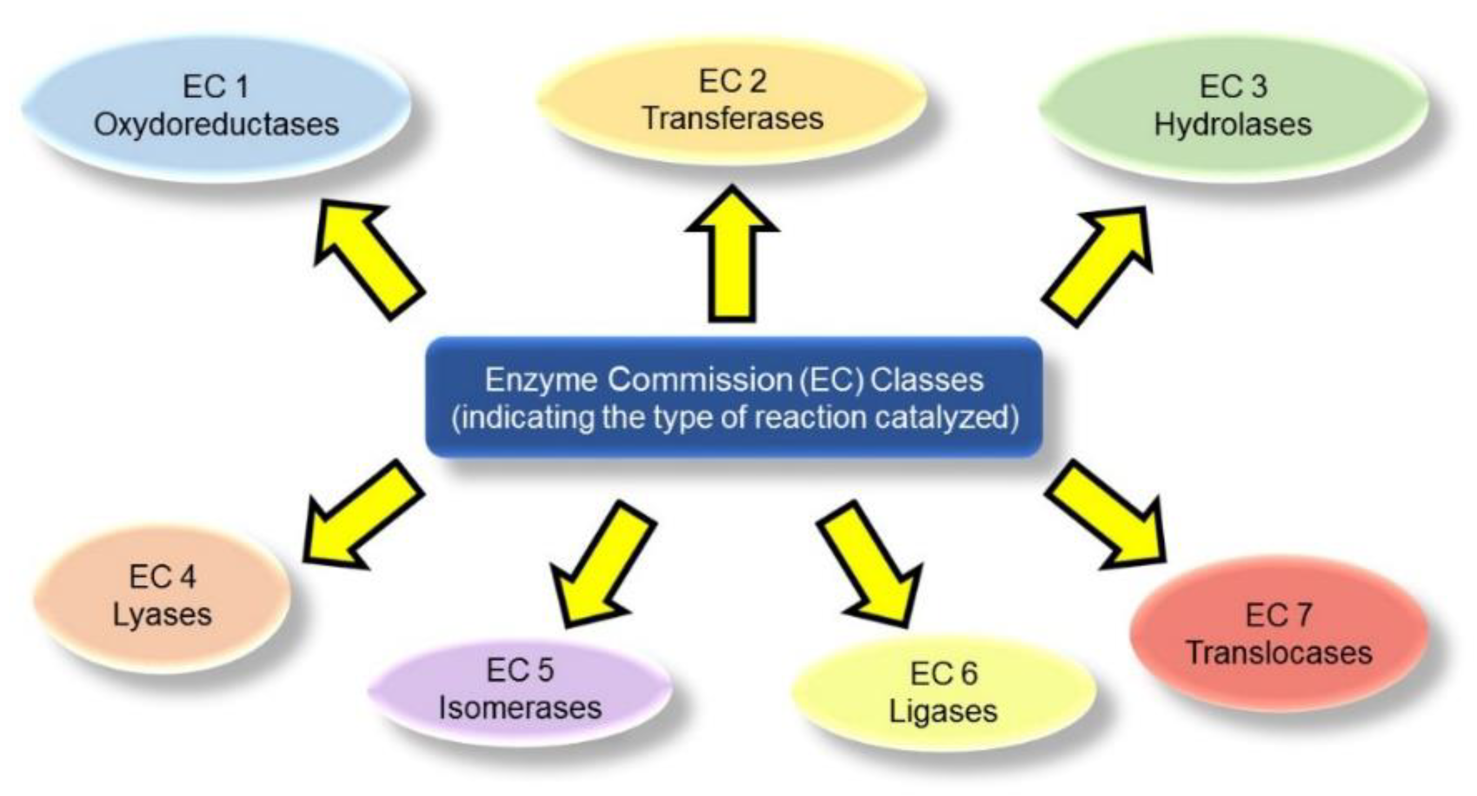 Materials 15 01037 g001