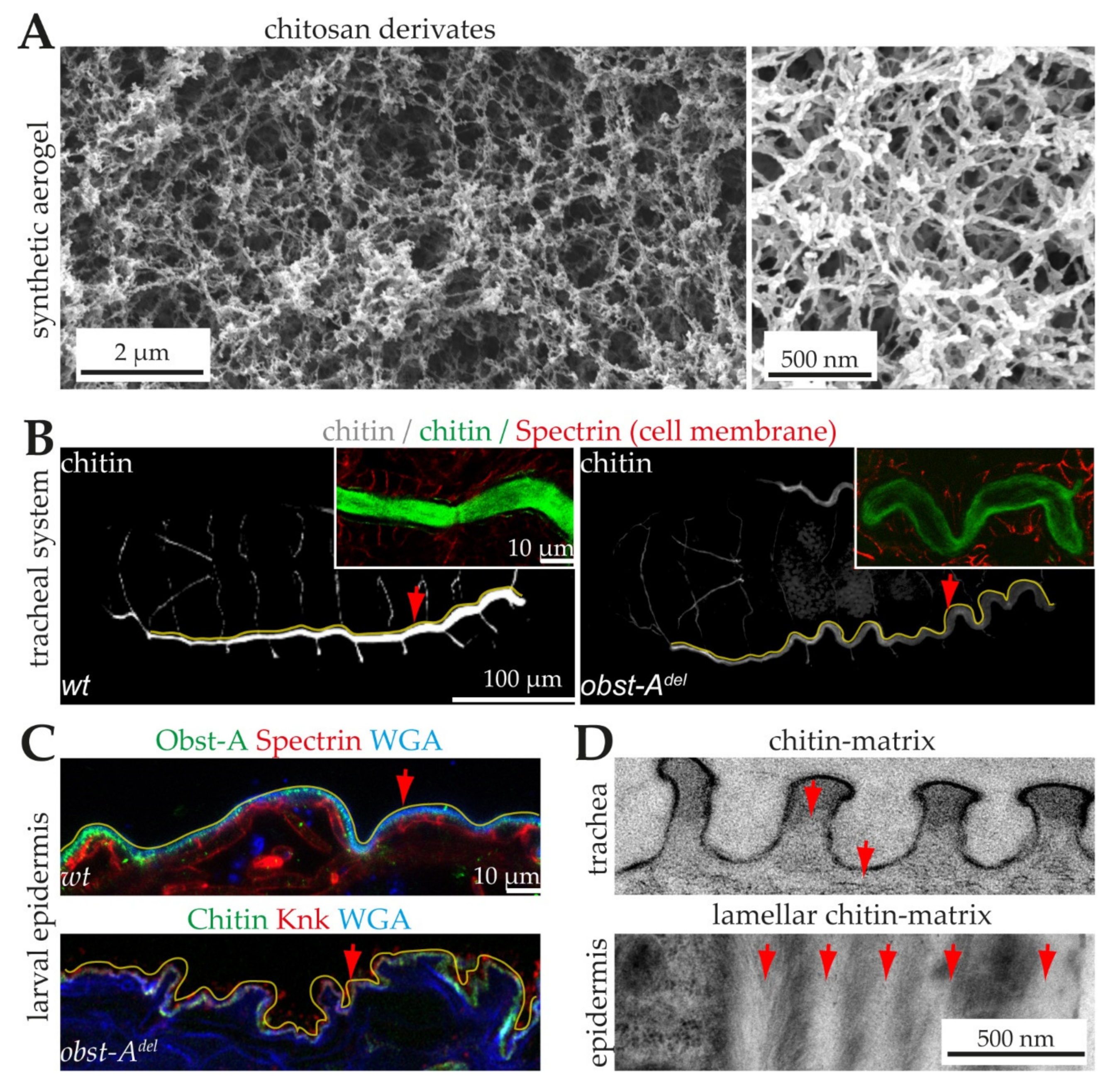 Materials 15 01041 g002