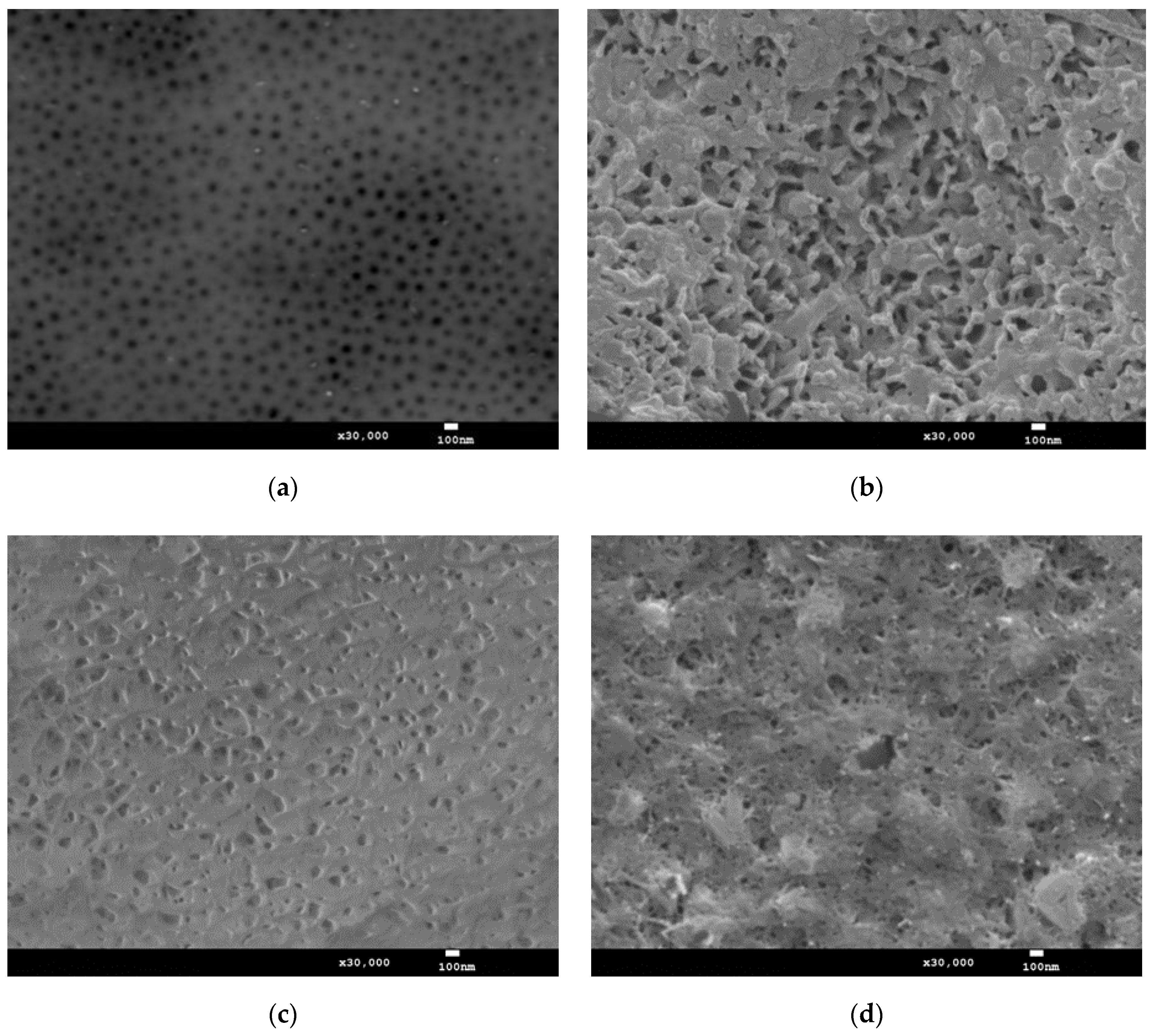 Materials 15 01051 g001