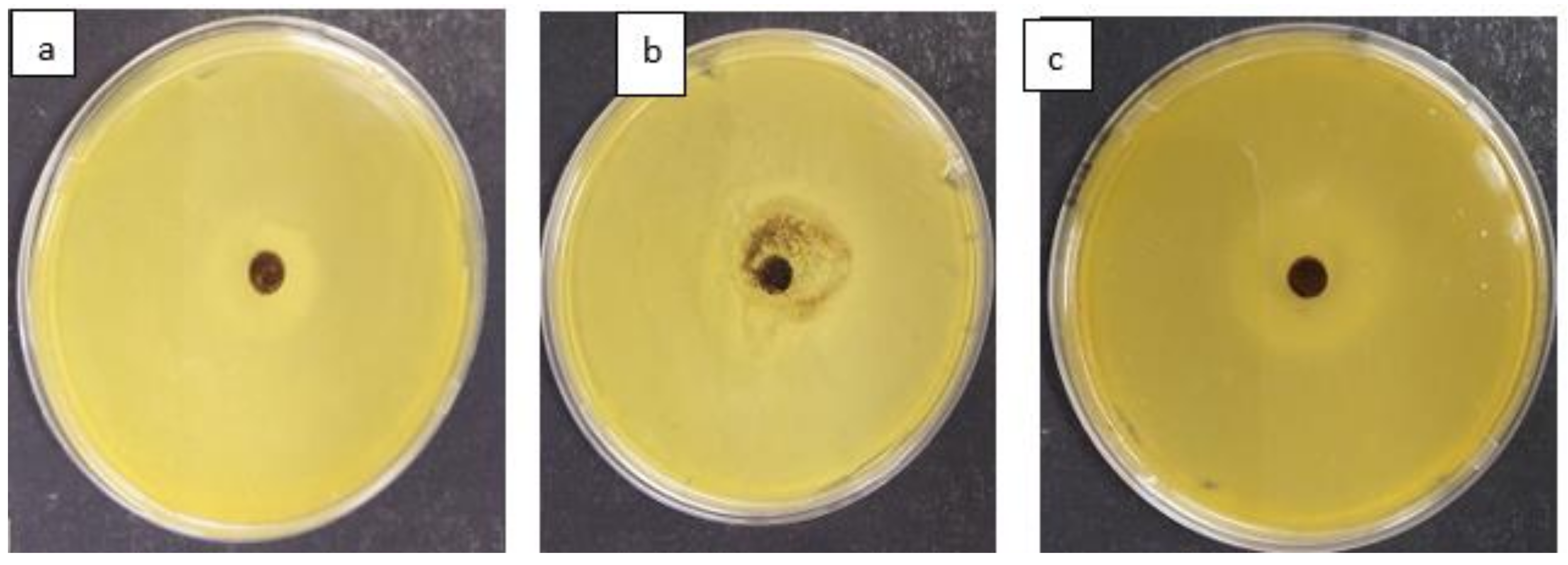 Materials 15 01065 g014