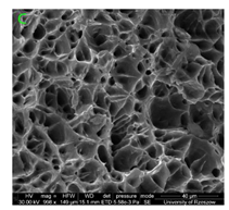 Materials 15 01066 i003