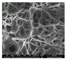 Materials 15 01066 i006