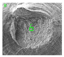 Materials 15 01066 i008
