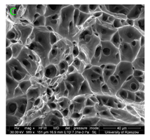 Materials 15 01066 i009