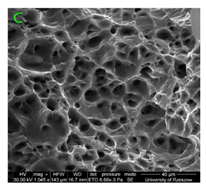 Materials 15 01066 i015