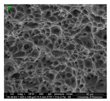 Materials 15 01066 i024