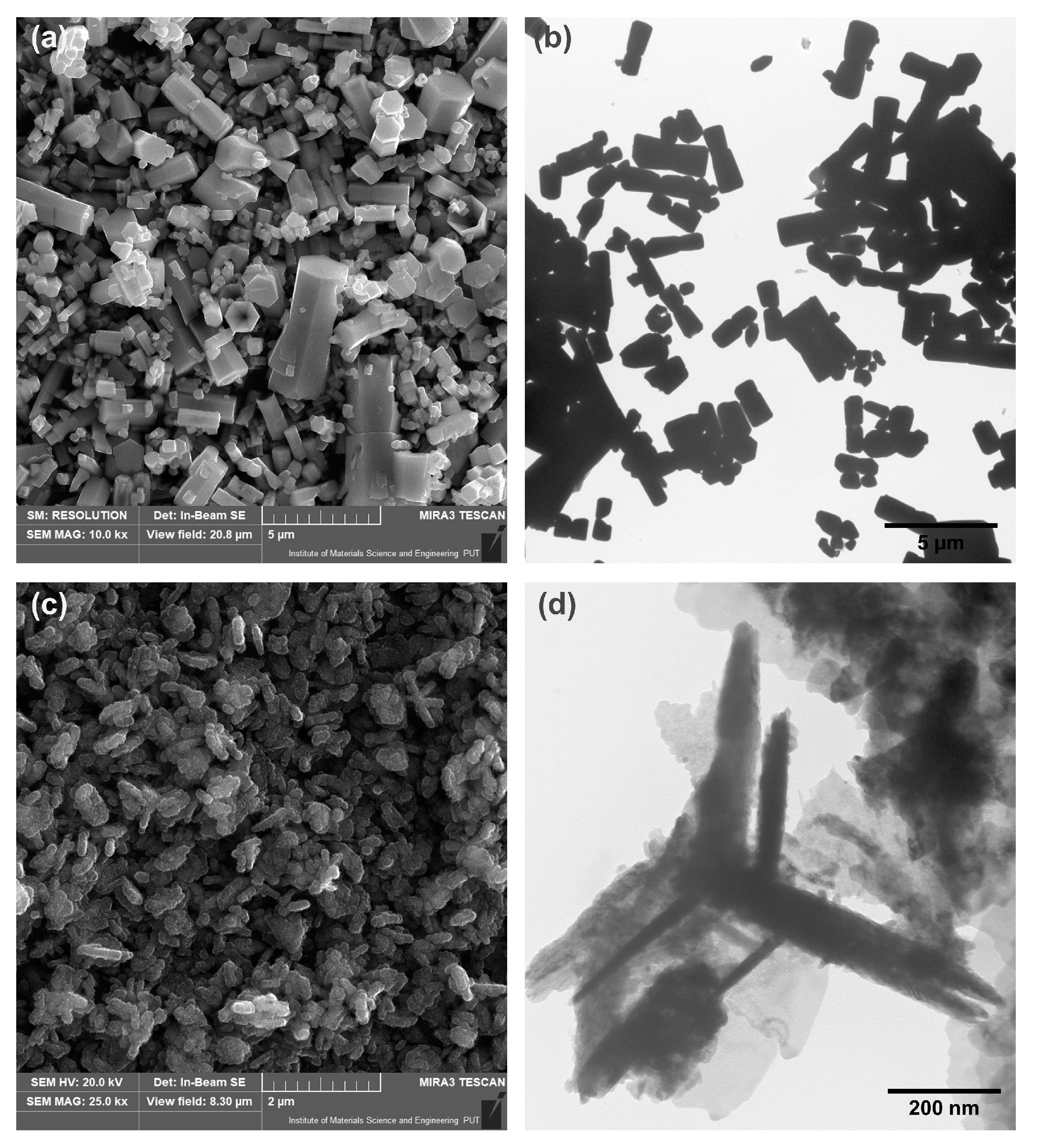 Materials 15 01069 g003