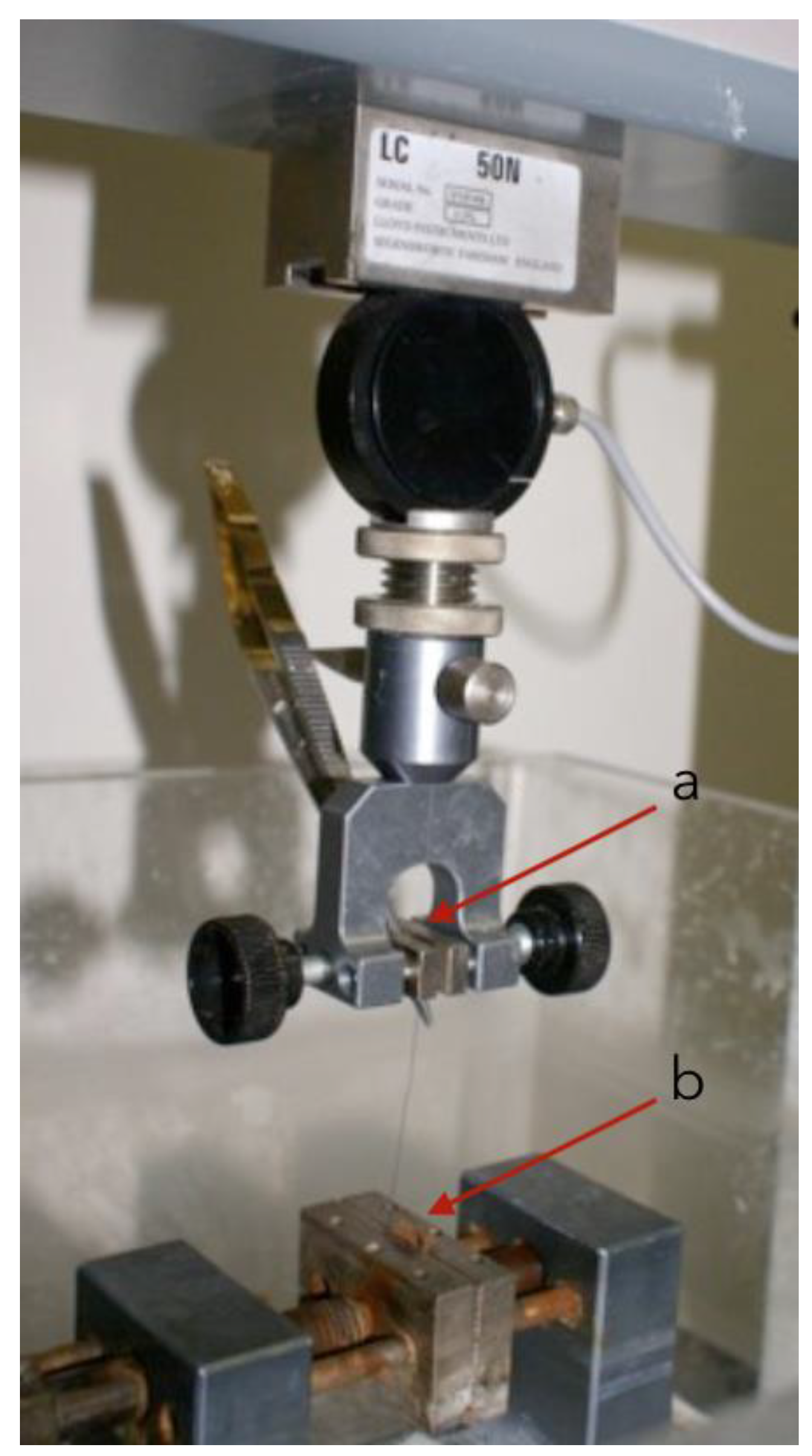 Materials 15 01082 g001