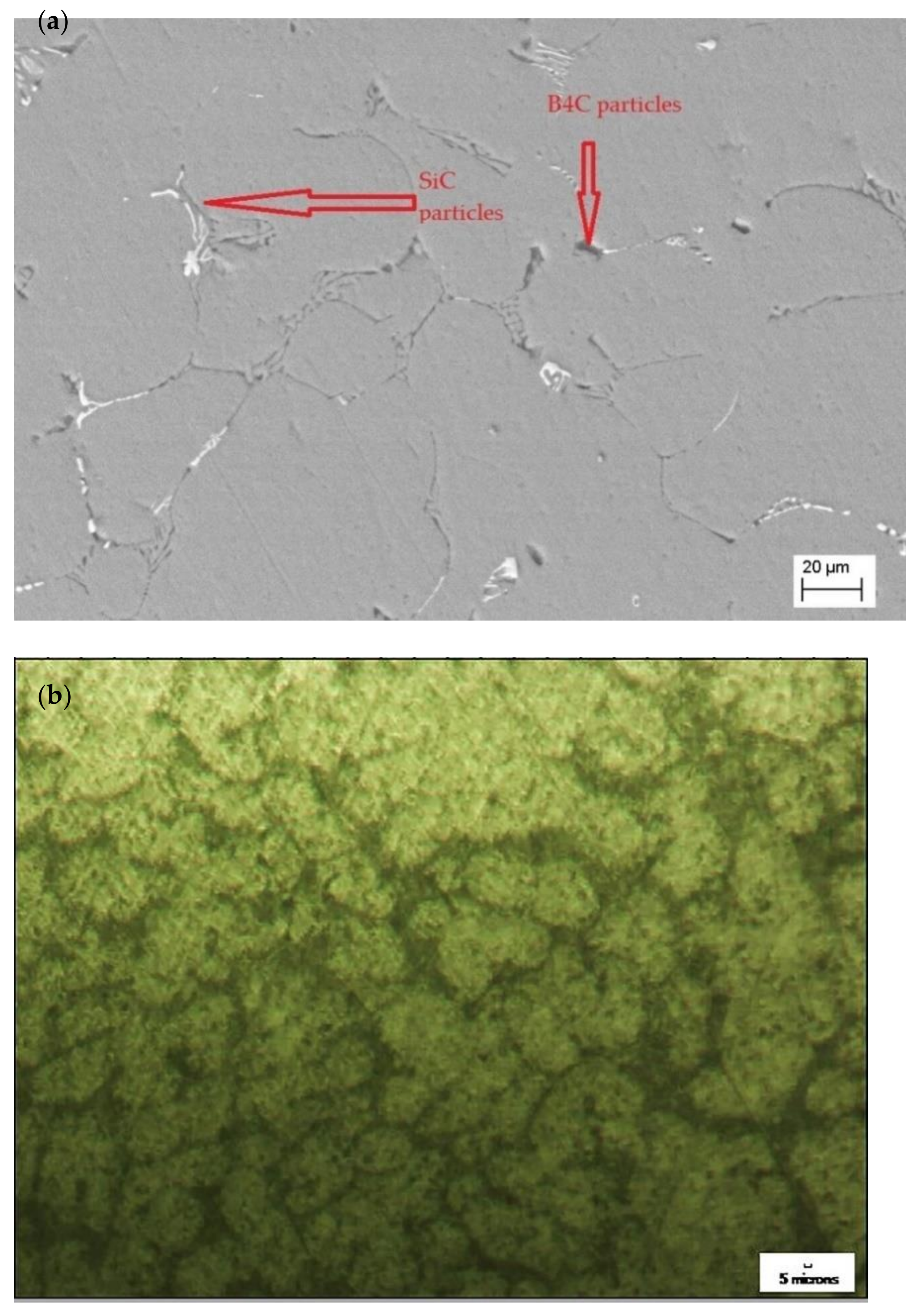 Materials 15 01102 g002a