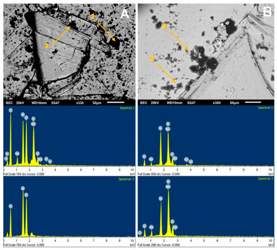 Materials 15 01136 g006 550