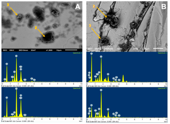 Materials 15 01136 g010 550
