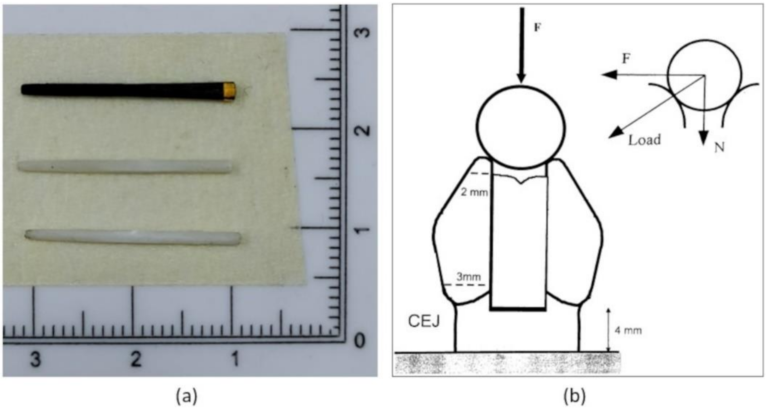 Materials 15 01141 g001 Materials 15 01141 g001