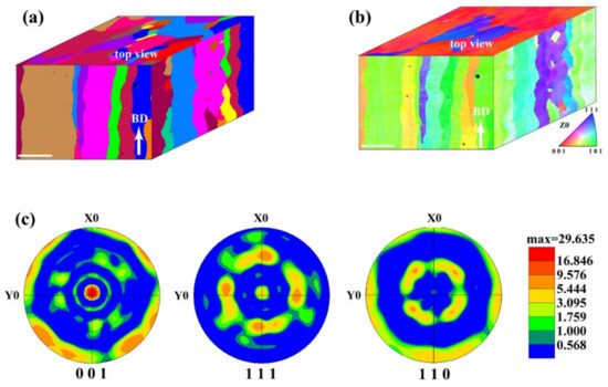 Selective Electron Beam Melting (SEBM) of Pure Tungsten: Metallurgical ...