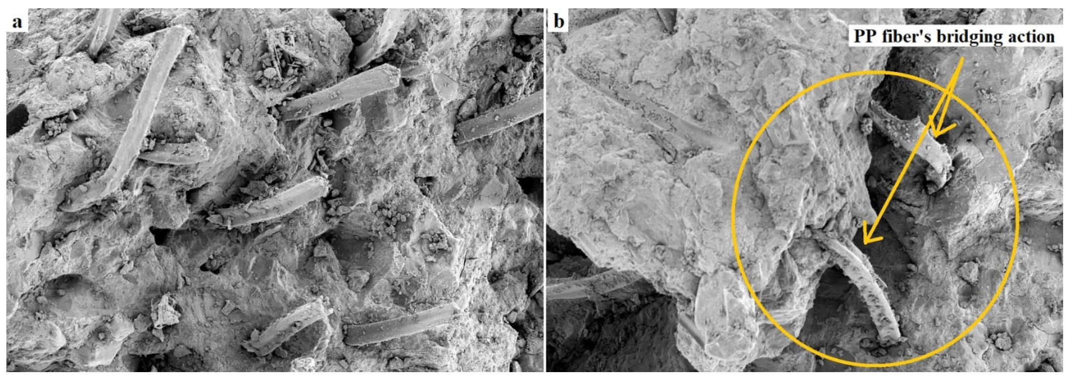 Materials 15 01173 g007