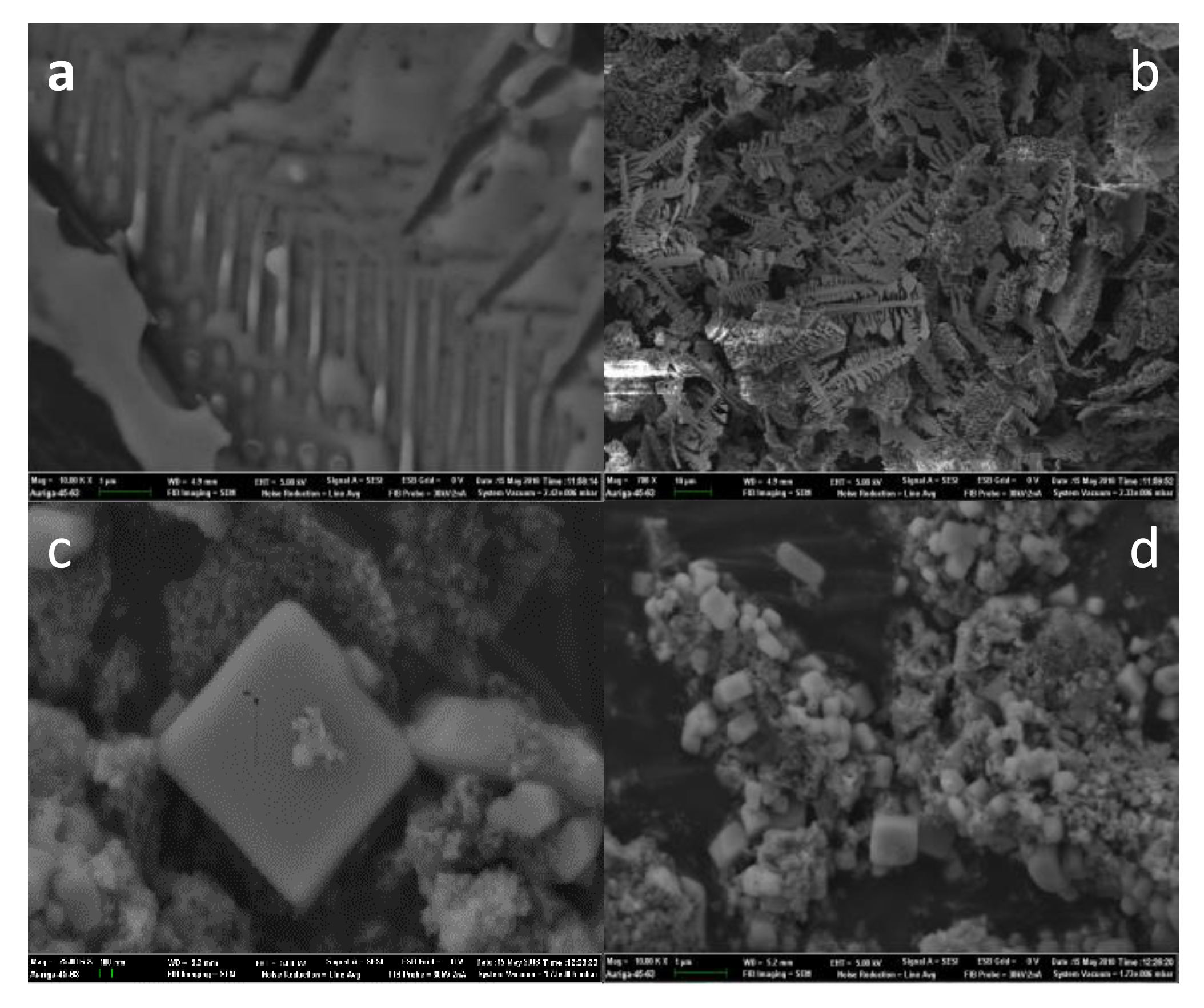 Materials 15 01174 g006