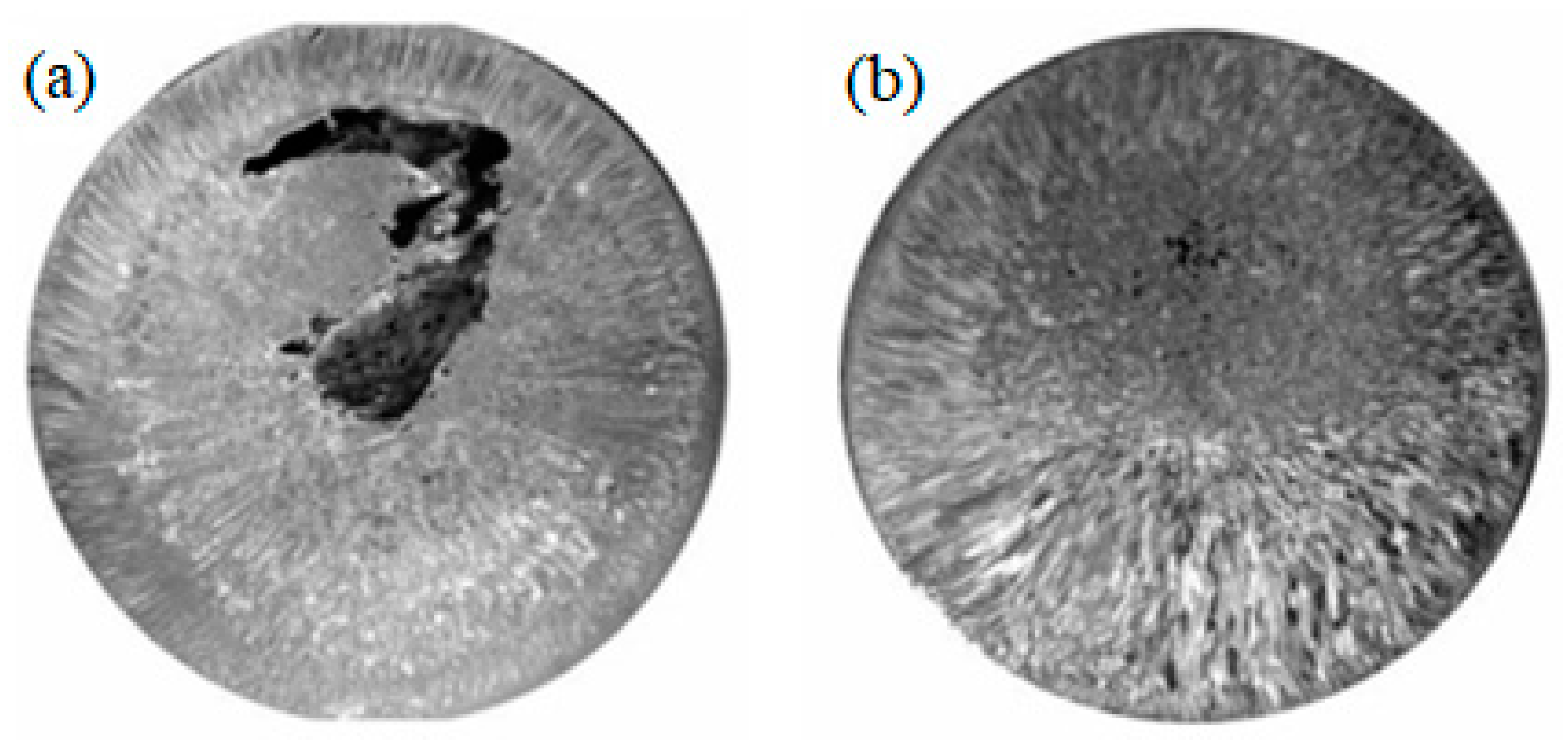 Materials 15 01235 g014
