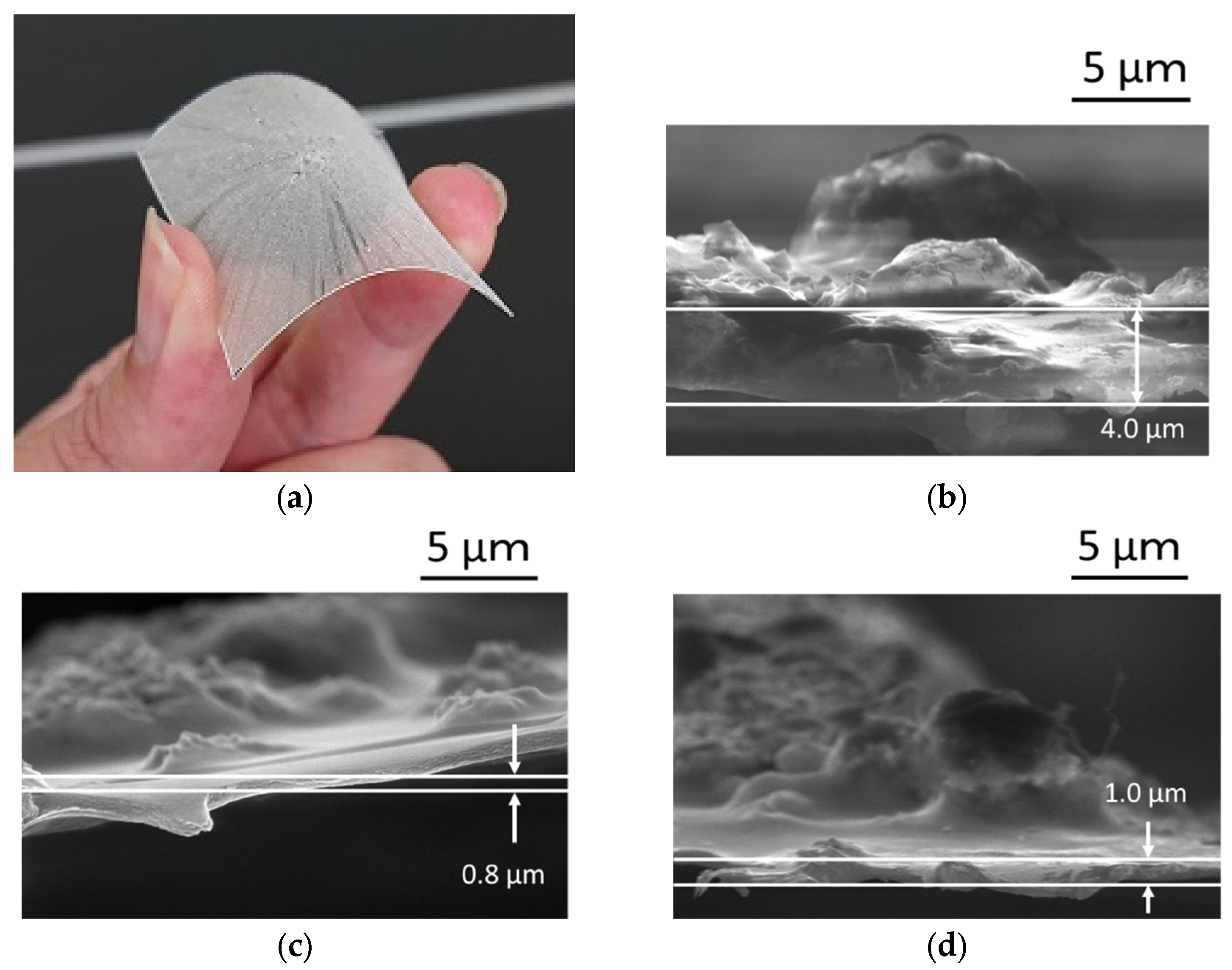 Materials 15 01241 g008