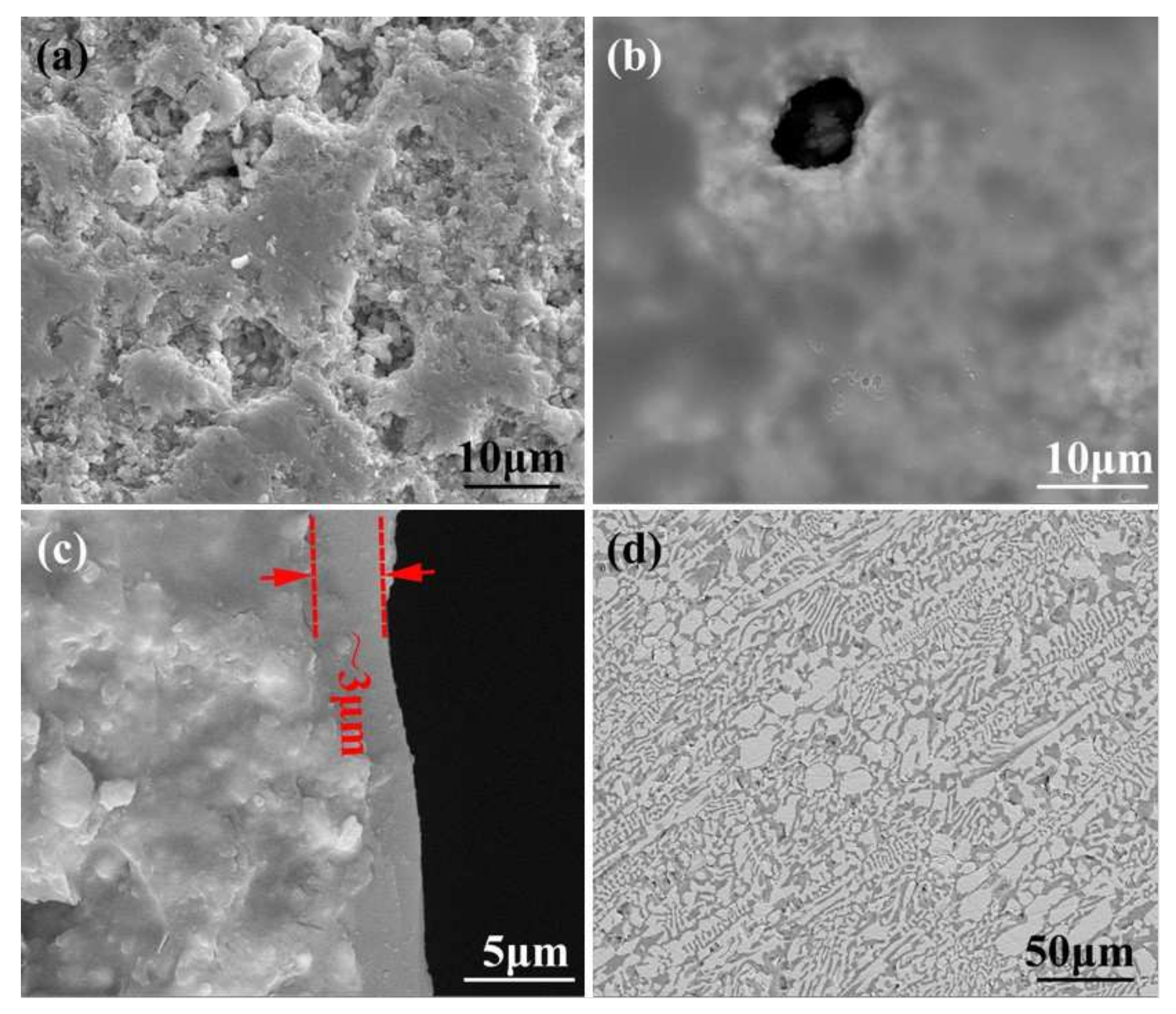 Materials 15 01289 g001