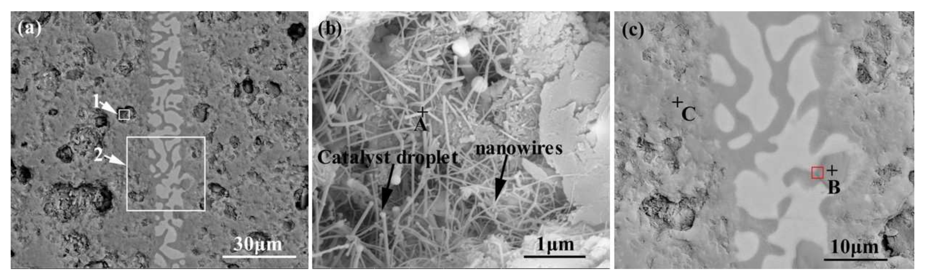 Materials 15 01289 g007