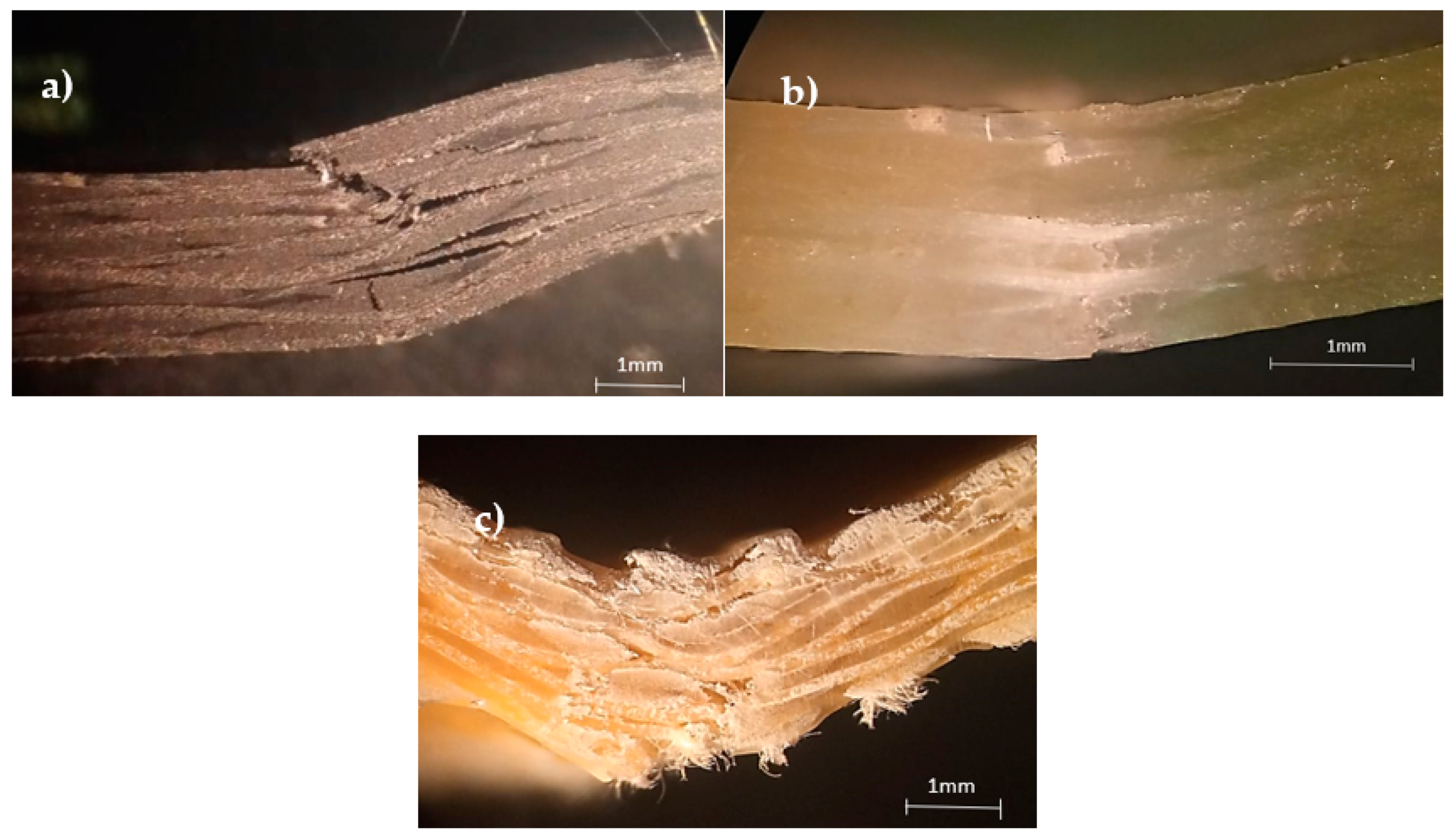 Materials 15 01302 g002