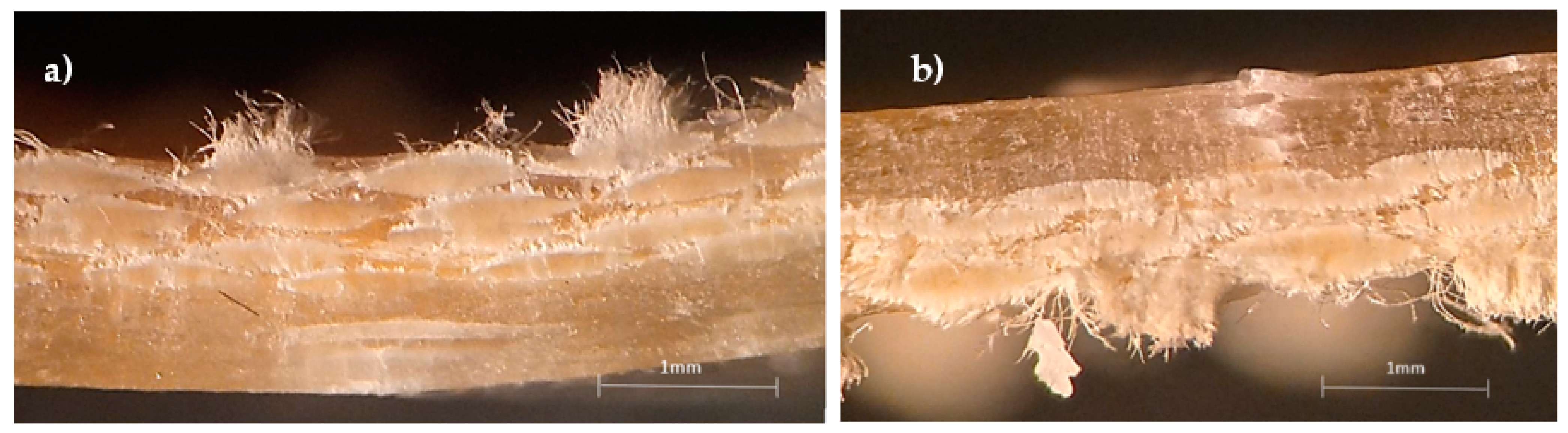Materials 15 01302 g006