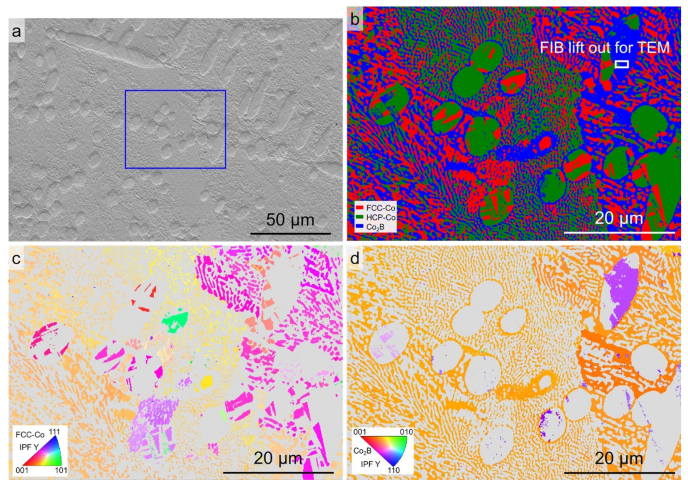 Materials 15 01315 g005