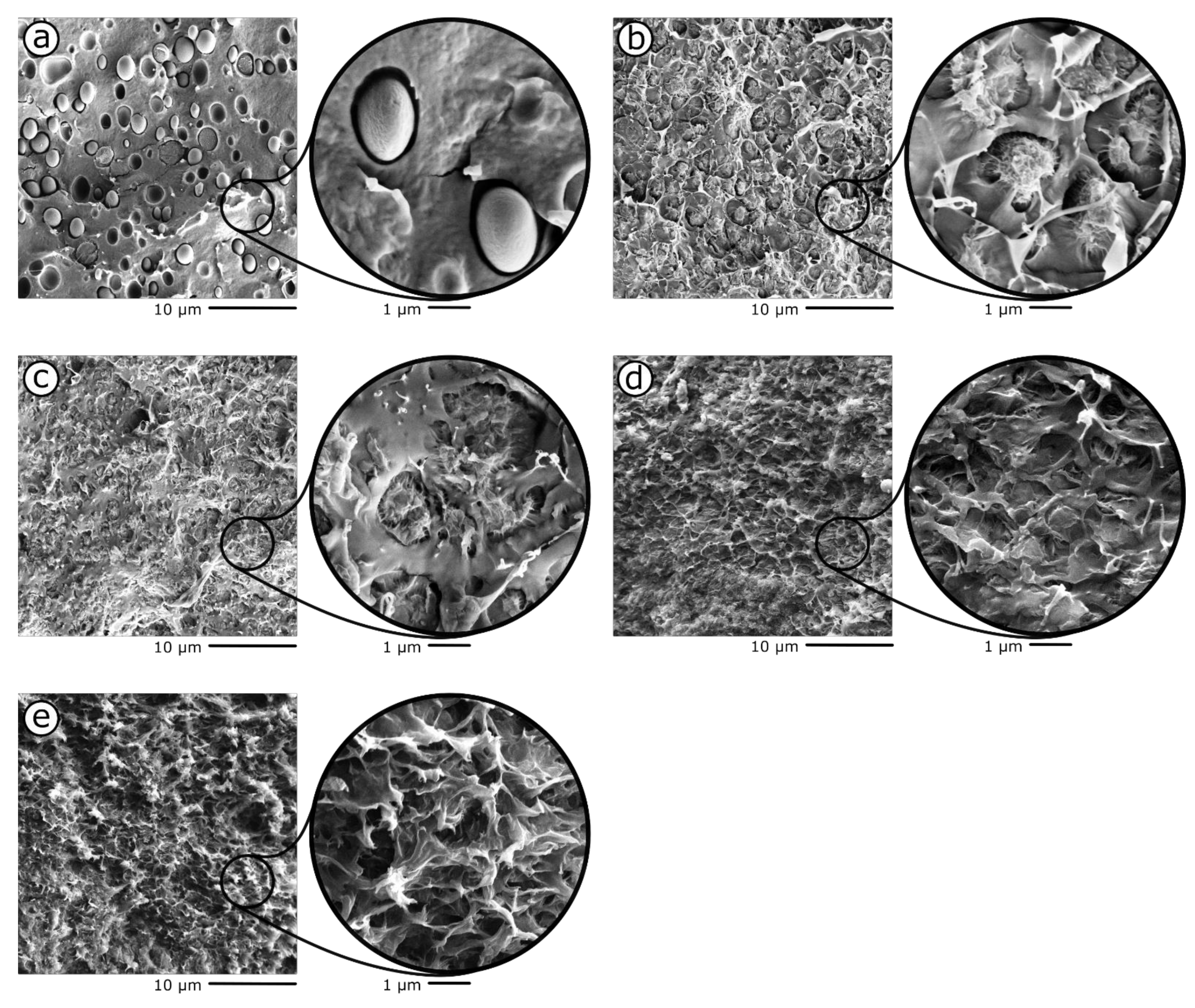 Materials 15 01316 g002