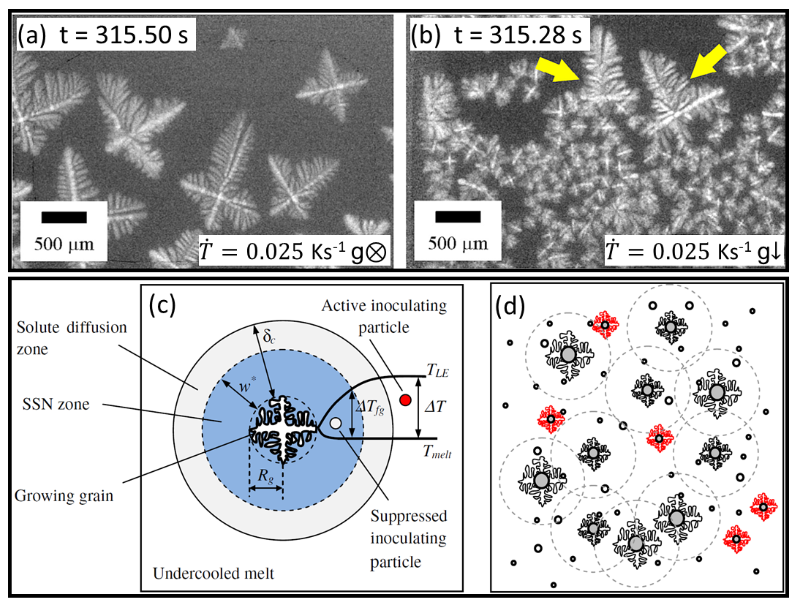Materials 15 01319 g002
