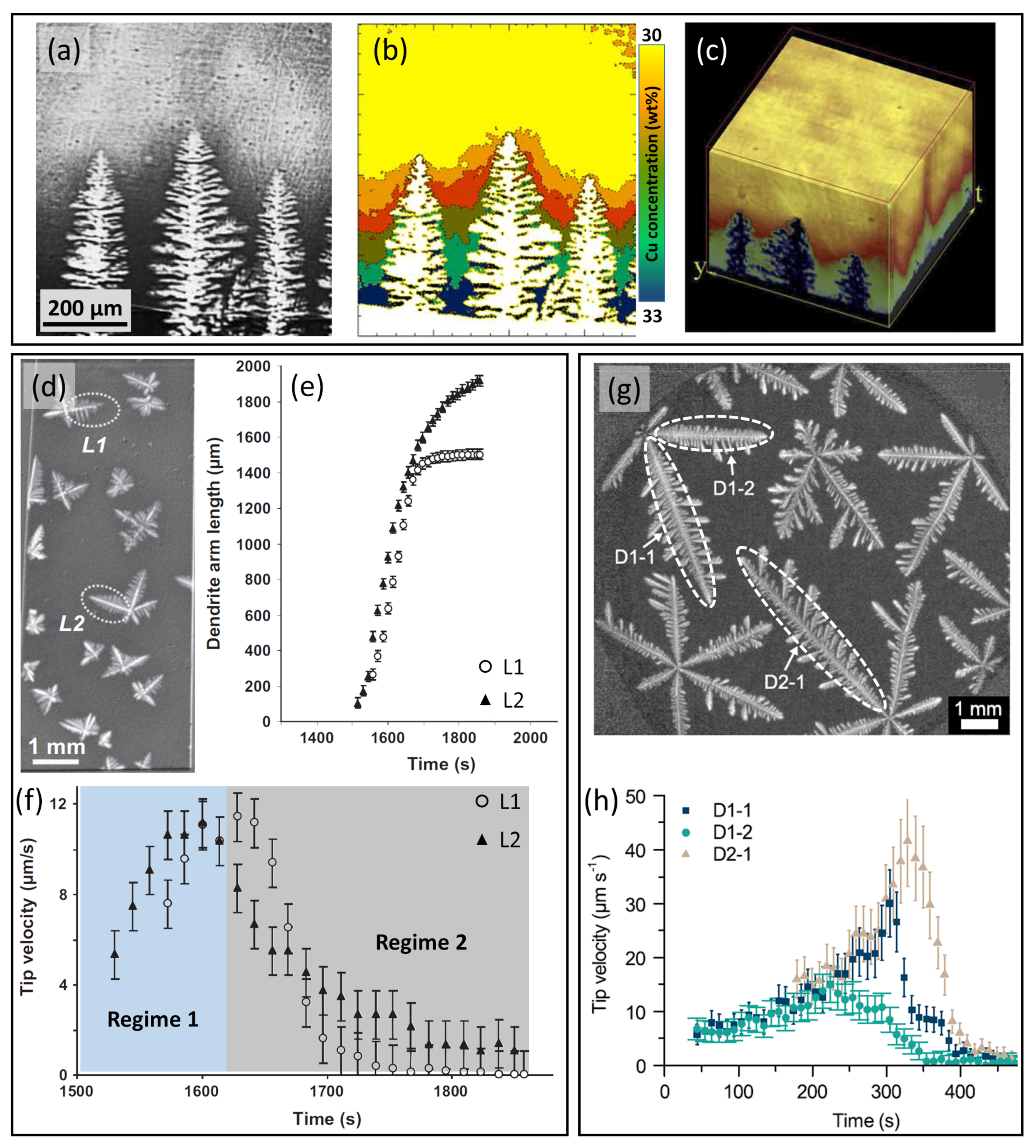 Materials 15 01319 g004
