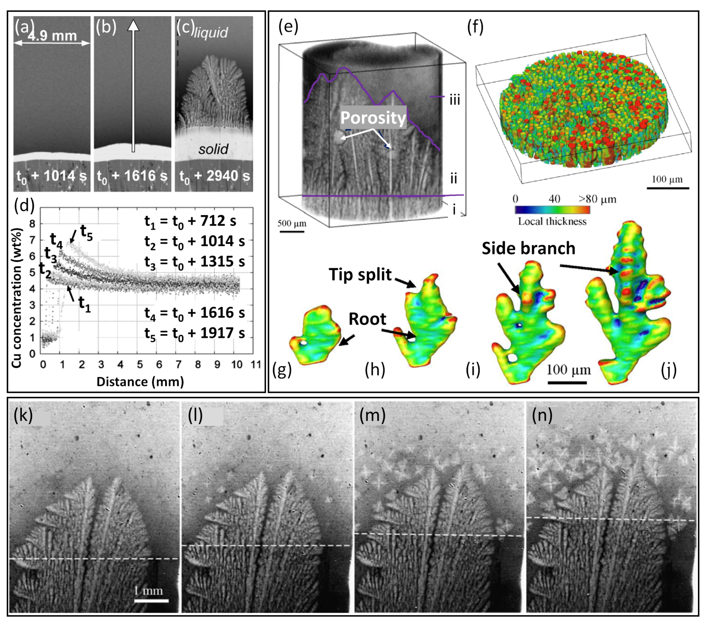 Materials 15 01319 g007