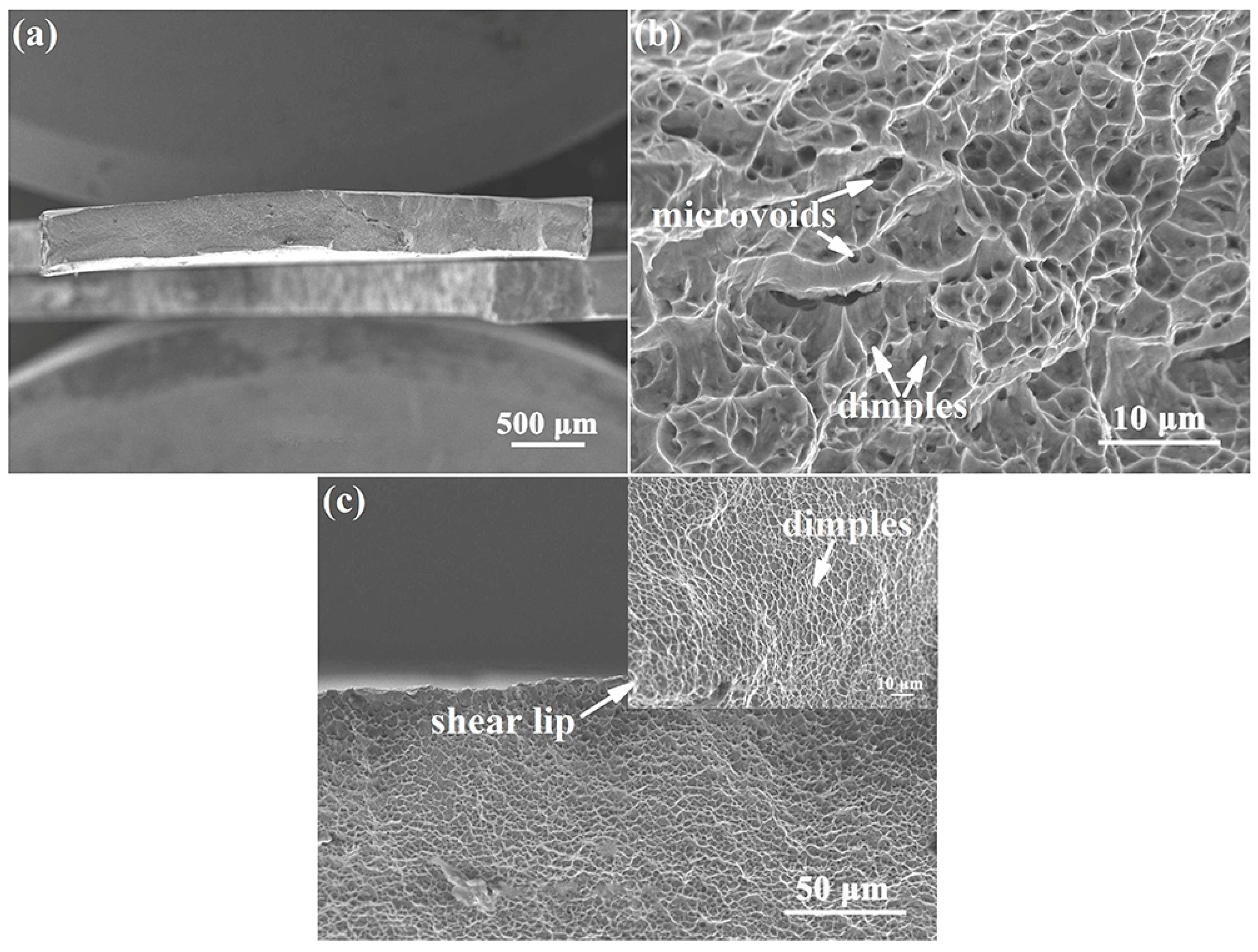 Materials 15 01325 g007