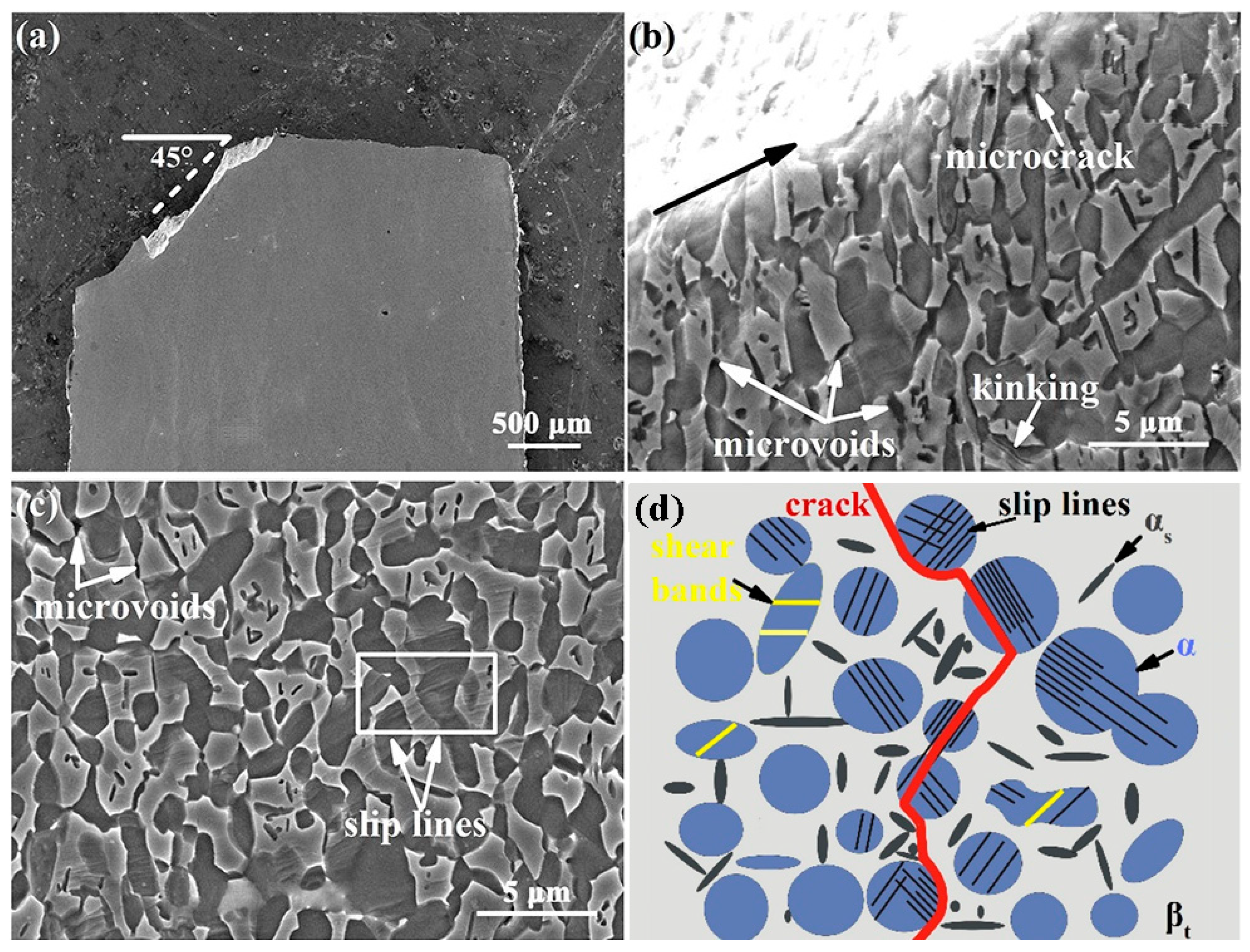Materials 15 01325 g011