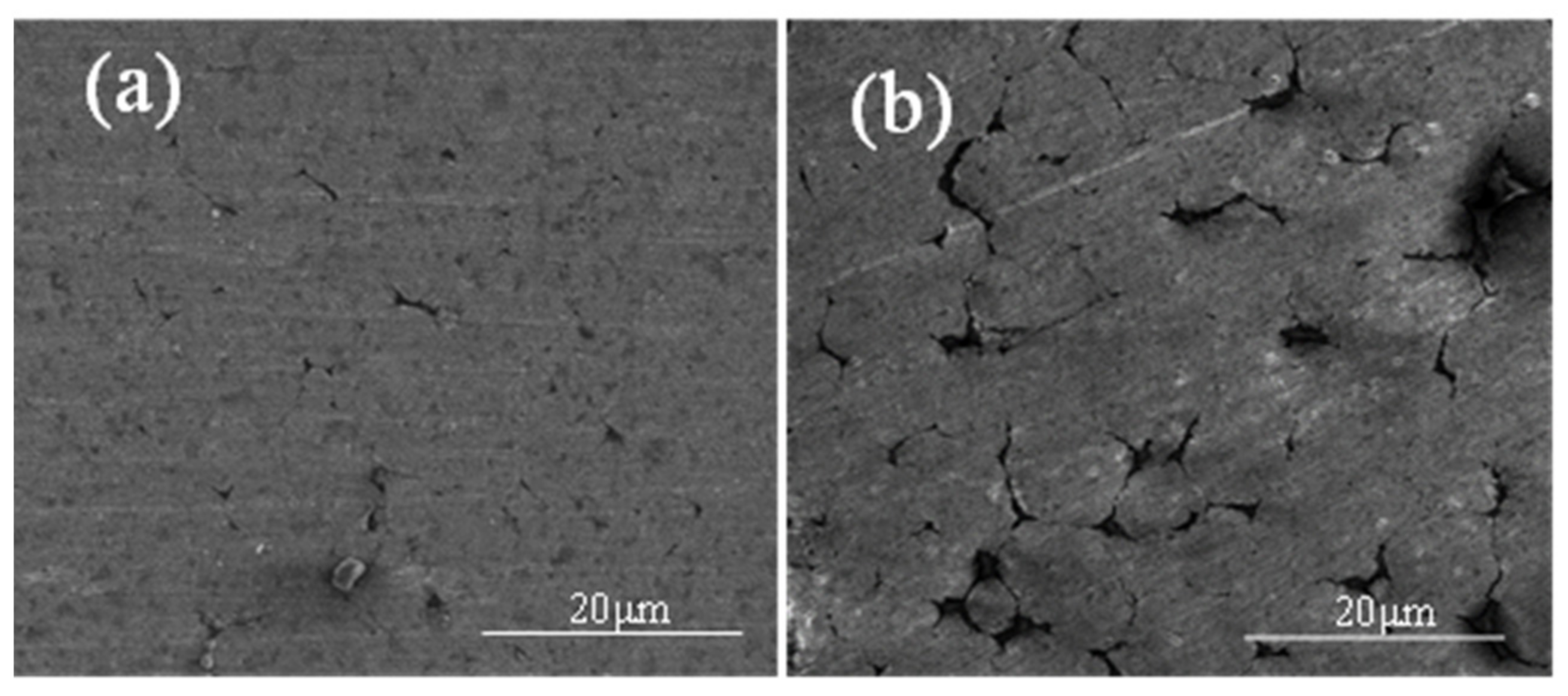 Materials 15 01340 g016